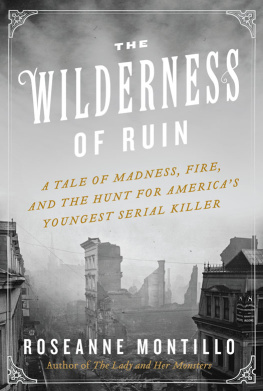 Roseanne Montillo - The Wilderness of Ruin: A Tale of Madness, Fire, and the Hunt for Americas Youngest Serial Killer