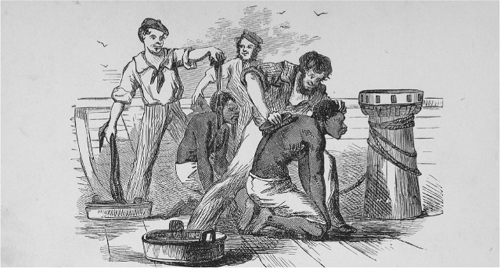 Sailors routinely cleaned Africans on arrival in the Americas so that they - photo 14