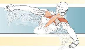 CHAPTER 1 THE SWIMMER IN MOTION Swimming Anatomy is both a visual guide to - photo 2
