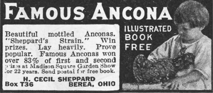 Poultry Tribune circa 1940 I was bit by the gardening bug when I bought my - photo 5