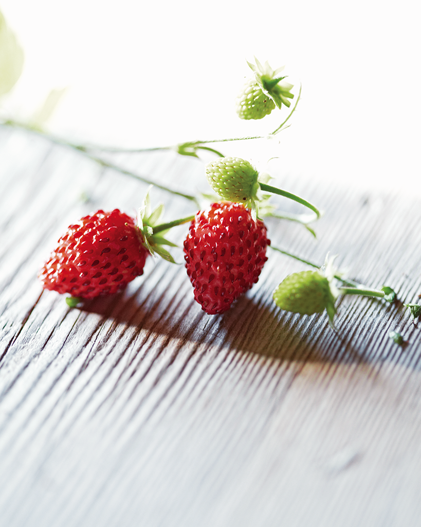 Watch Your Fruit In many ways sugar is sugar whether its white and granular - photo 12