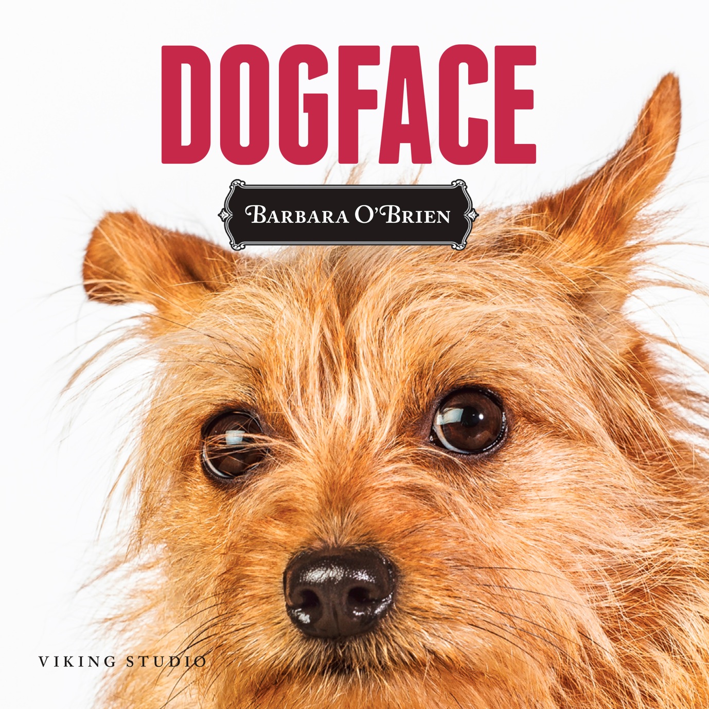 DogFace - image 2