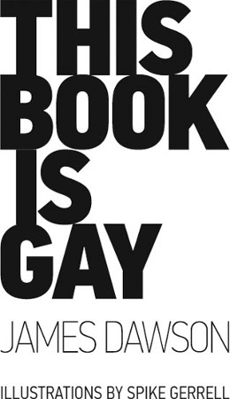 This Book is Gay - image 1