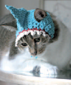 Saras cat Dorothy is always first in line to try out the new hats When I - photo 9