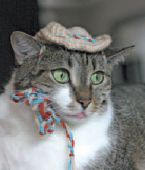 Saras cat Dorothy is always first in line to try out the new hats When I - photo 10