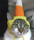 Saras cat Dorothy is always first in line to try out the new hats When I - photo 11