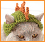 Cats in Hats 30 Knit and Crochet Hat Patterns for Your Kitty - photo 16