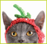 Cats in Hats 30 Knit and Crochet Hat Patterns for Your Kitty - photo 18