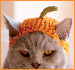 Cats in Hats 30 Knit and Crochet Hat Patterns for Your Kitty - photo 19