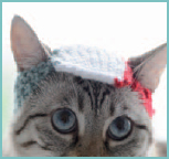 Cats in Hats 30 Knit and Crochet Hat Patterns for Your Kitty - photo 20