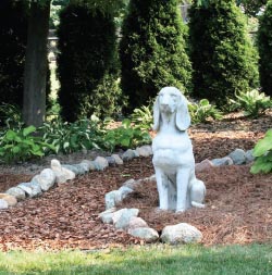 Dogscaping Creating the Perfect Backyard and Garden for You and Your Dog - photo 3