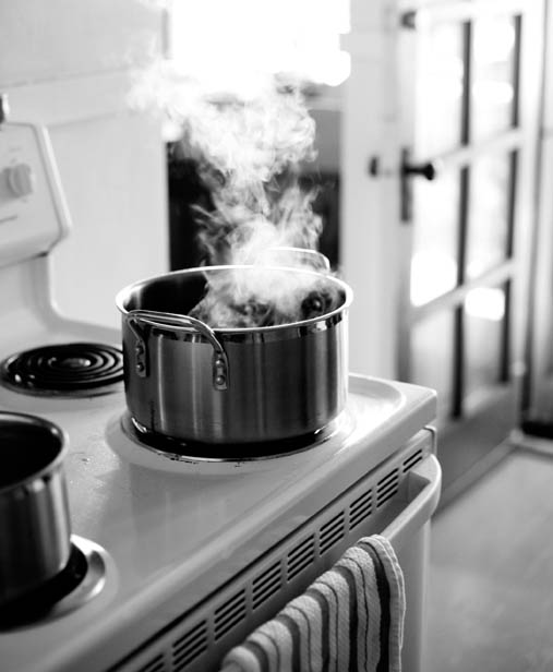 preface A FEW YEARS BACK I found myself in a good friends kitchen playing - photo 12