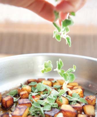 Oregano Winter Squash Pasta Photo by Kenneth Dundas Baked Squash - photo 13