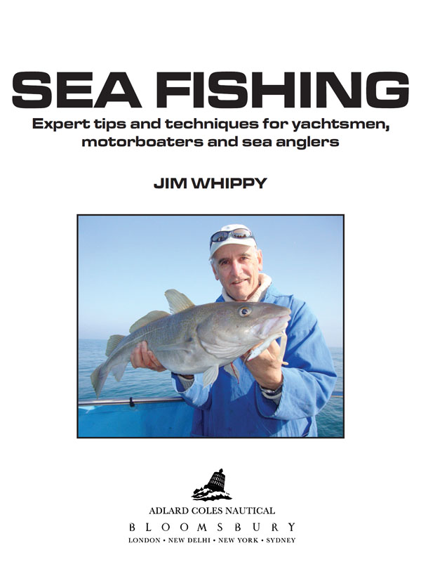 This book provides a few ideas on how to catch fish for people who are not - photo 1
