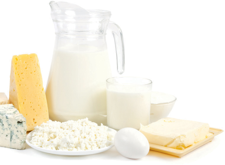 In general all dairy products are primarily good for quality protein Eaten in - photo 1