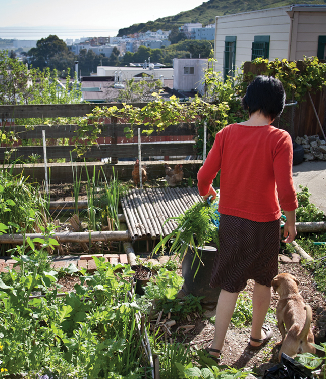 Backyard Roots Lessons on Living Local From 35 Urban Farmers - image 4