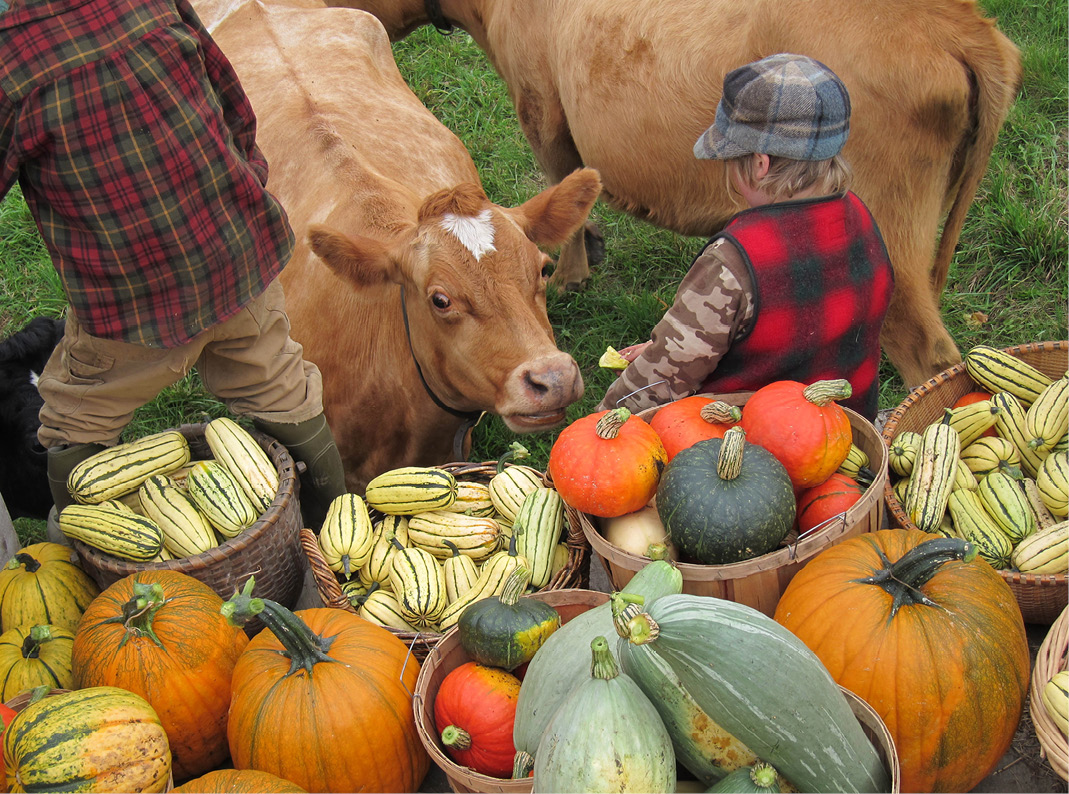 My family and I operate a highly diversified homestead on 40 southwesterly - photo 2