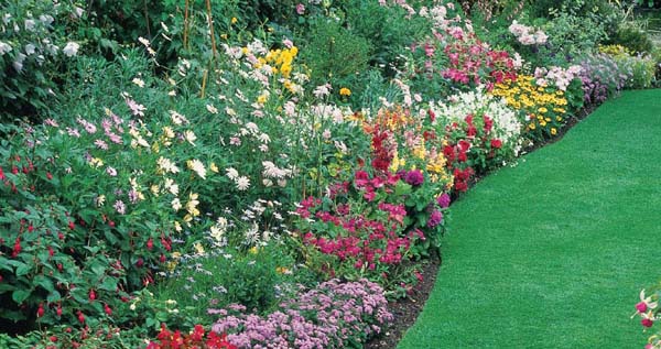 Creative planting is a dynamic ongoing art form The mixed border below has - photo 21