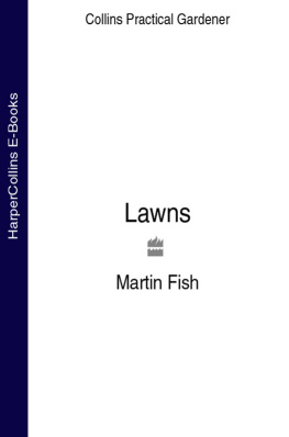 Martin Fish - Lawns