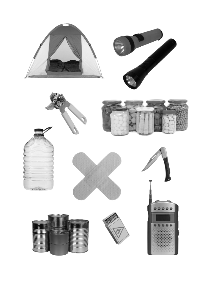Prepper Supplies Survival Guide The Prepping Supplies Gear Food You Must Have To Survive - image 4