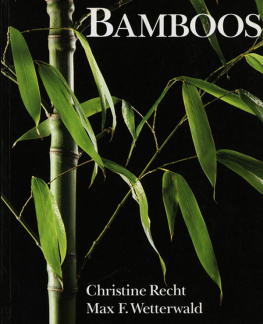 Christine Recht - Bamboos