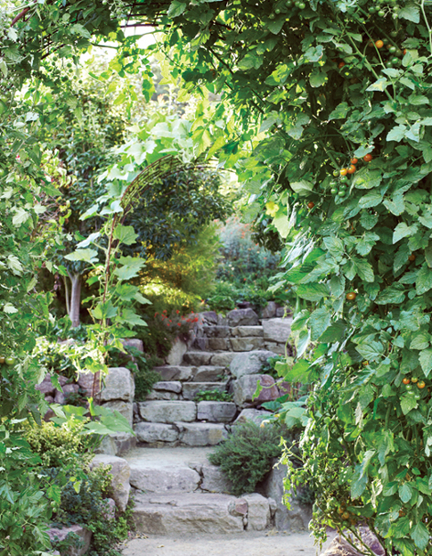 ONE Principles for Successful Edible Garden Design You know you want to - photo 10