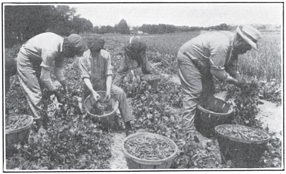 CONTENTS NEVER PLOW SOIL WHEN IT IS VERY WET AND STICKYWAIT UNTIL IT DRIES - photo 4