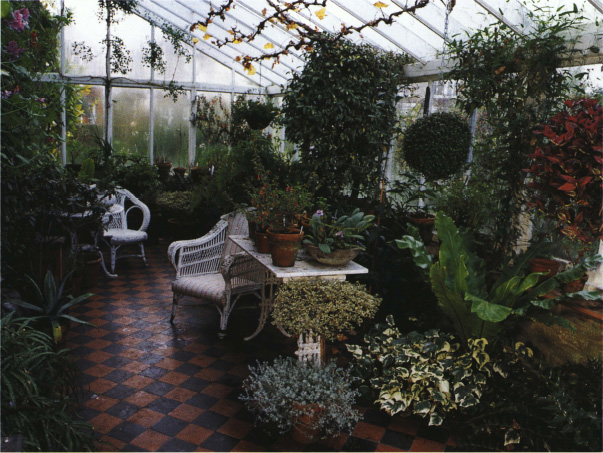 All sorts of exotic plants and fruit trees can be grown in a conservatory or - photo 4