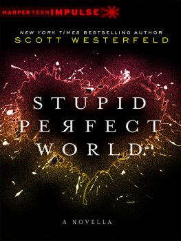 Scott Westerfeld Stupid Perfect World