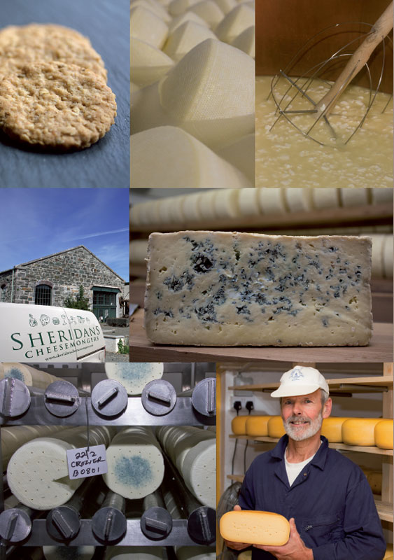 How to Use This Book This book describes the cheesemakers of Ireland and their - photo 5