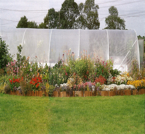 A flower border alongside a polytunnel improves its appearance T HE P - photo 6