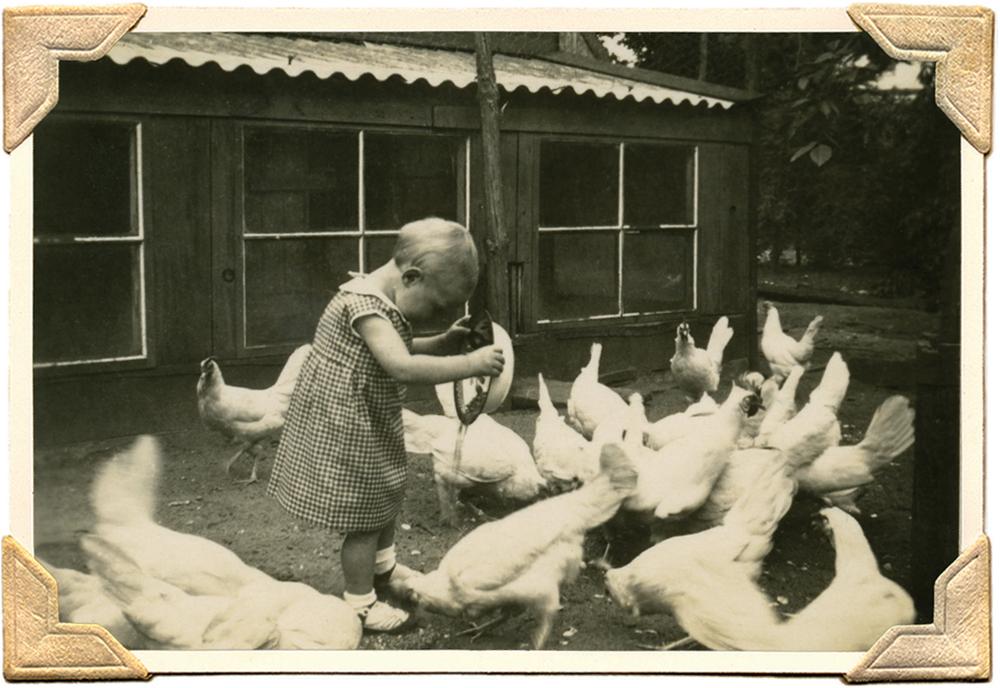 Lolo feeding the chickens in Uncle Wims garden The earth is the origin of all - photo 1