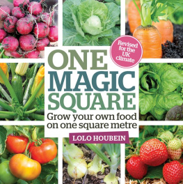 Lolo Houbein - One magic square : grow your own food on one square metre