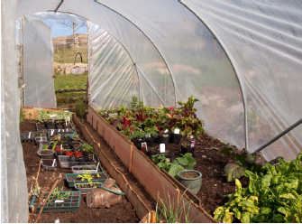 explains how to choose put up and lay out a polytunnel It also tackles the - photo 4