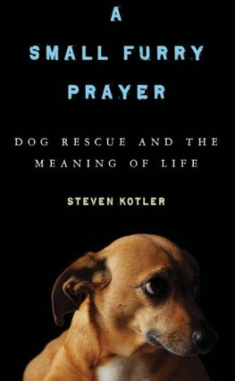 Steven Kotler A Small Furry Prayer: Dog Rescue and the Meaning of Life