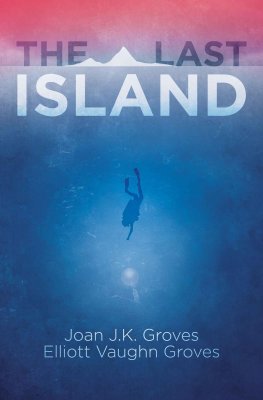 Joan Groves The Last Island