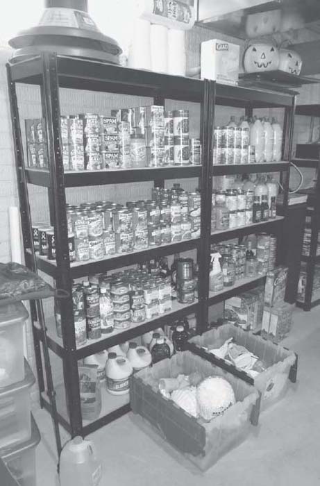 A well-stocked survival food supply This is essential where youre planning on - photo 4