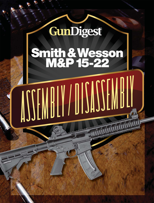 Smith Wesson MP 15-22 SimilarIdentical Pattern Guns The same basic - photo 1