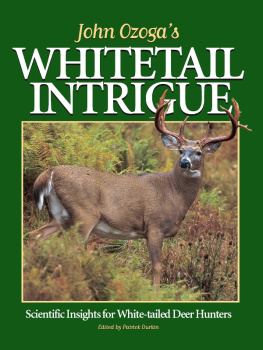 John Ozoga - John Ozogas Whitetail Intrigue