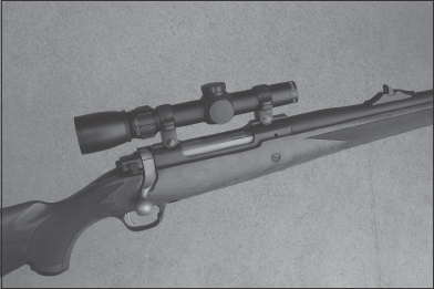 THIS RUGER HAWKEYE IN 375 RUGER IS A LITHE PRACTICAL RIFLE FOR ALL-AROUND - photo 4