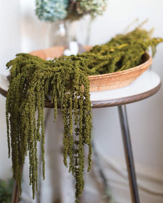 PLANT SHOWN DRIED AMARANTHUS While we love the textures colors and forms of - photo 8