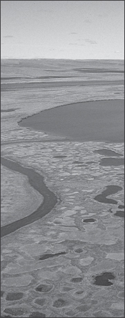 Glaciers Sea Ice and Ice Formation - photo 2