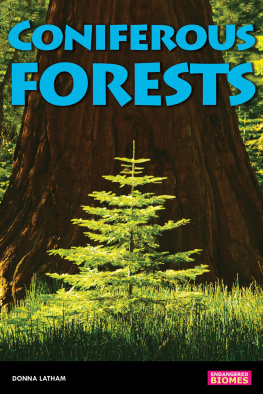 Donna Latham - Coniferous Forests