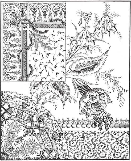 PLATE 9 PLATE 10 PLATE 11 - photo 10