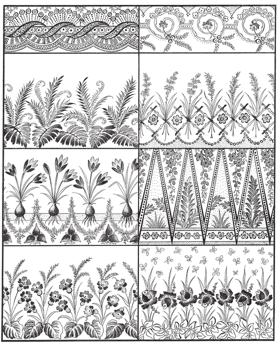 PLATE 44 PLATE 45 PLATE 46 - photo 45