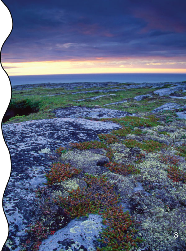 A team of scientists in Norway has created a special storage vault in an Arctic - photo 9