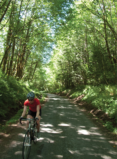 Forest Road 1828 plunges deep into the forest on the flanks of Mount Hood - photo 10