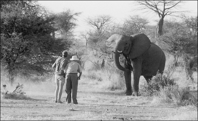 On the way to the Ruaha Game Park Werner and Helga stopped at the Iringa Hotel - photo 13