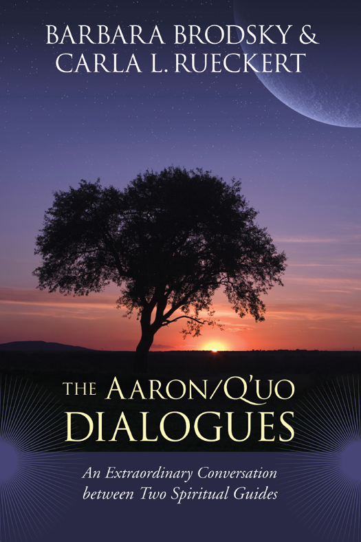 Praise for The AaronQuo Dialogues I am struck by its sophistication and its - photo 1