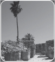 Historic Palestine Israel and the Emerging Palestinian Autonomous Areas - photo 2